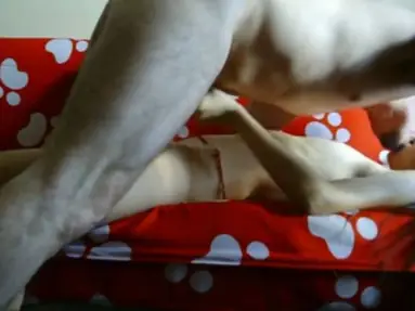 Bokep Indo ABG Bispak Hotel Bintang Lima Live